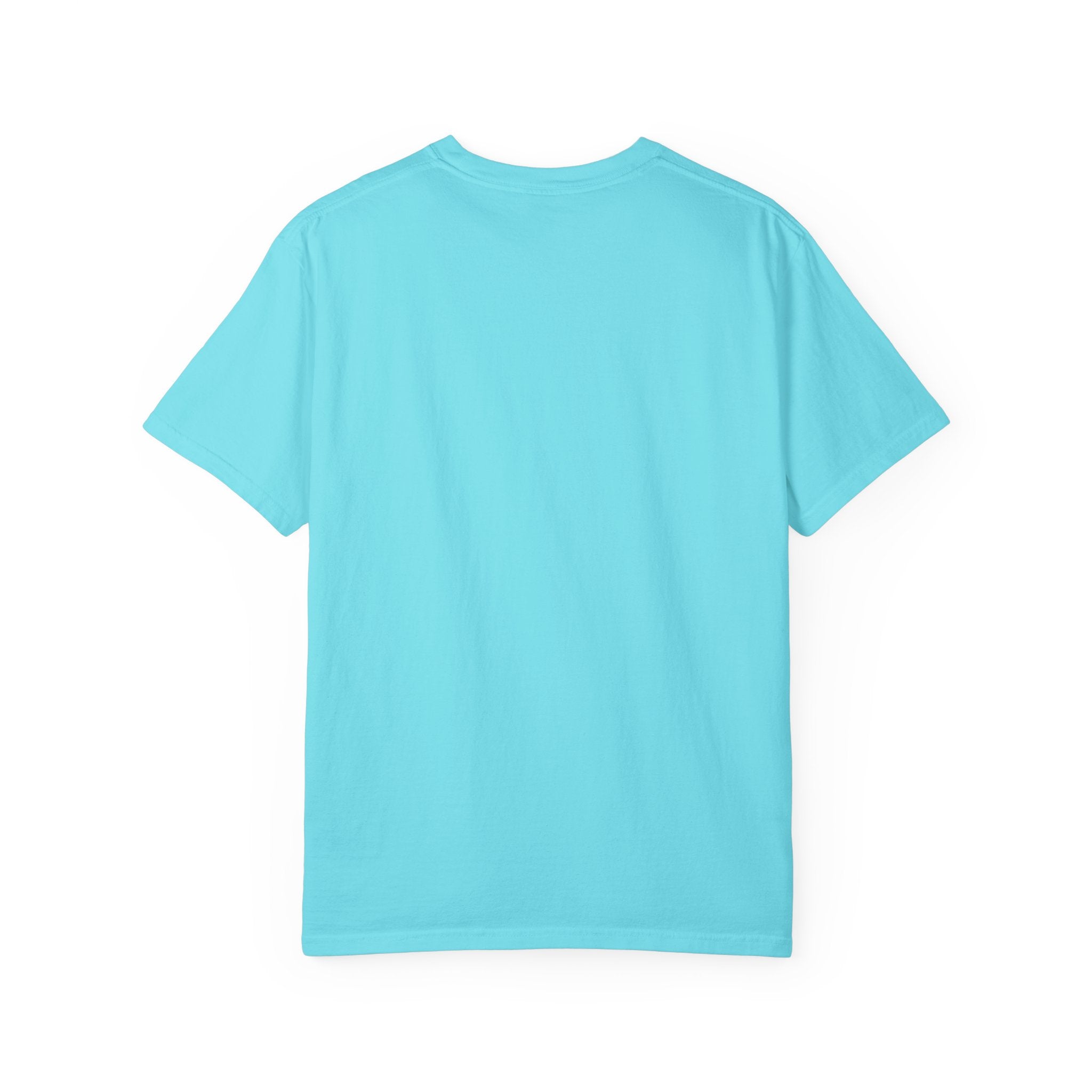 Being Delulu Is Okay Cat T-Shirt