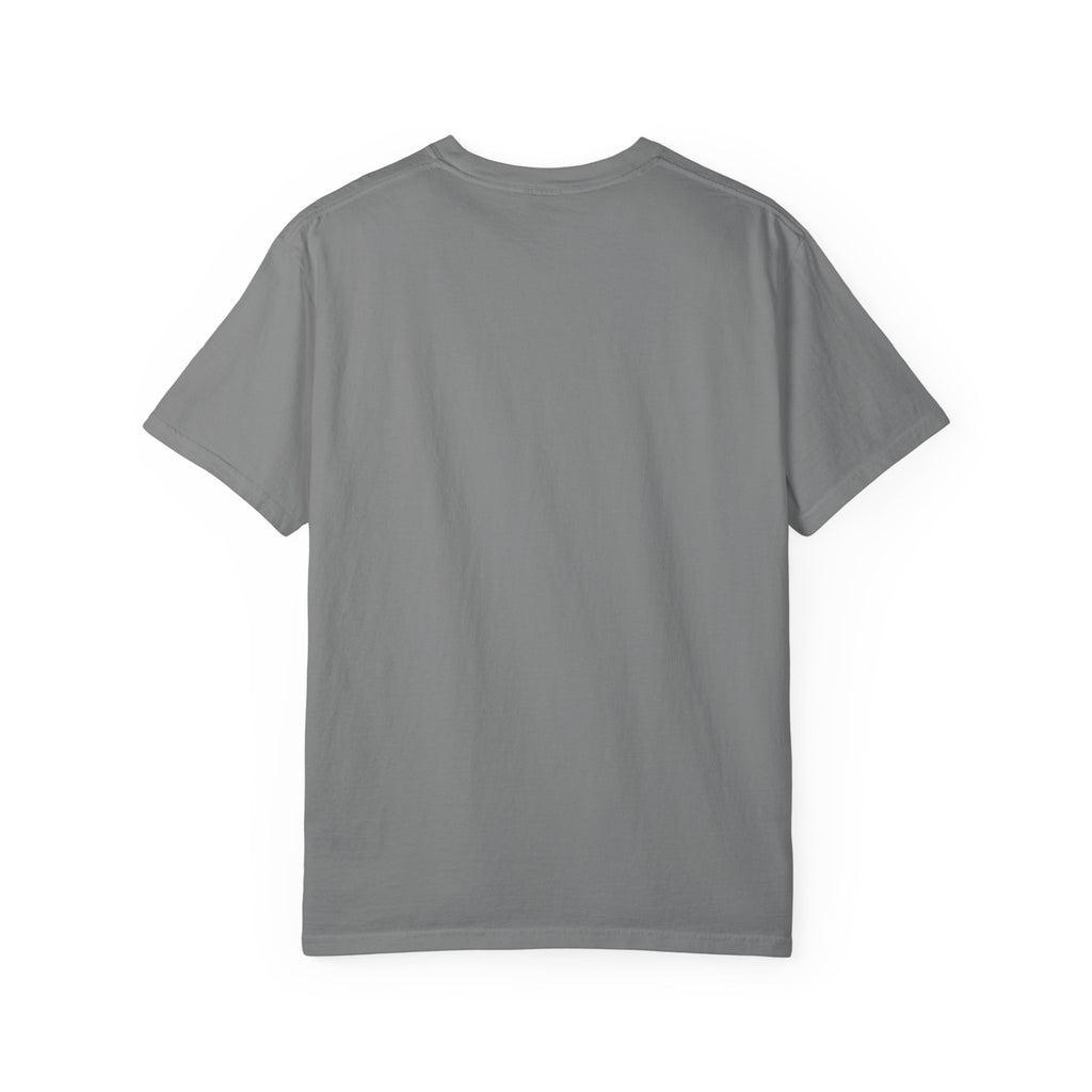 Being Delulu Is Okay Cat T-Shirt