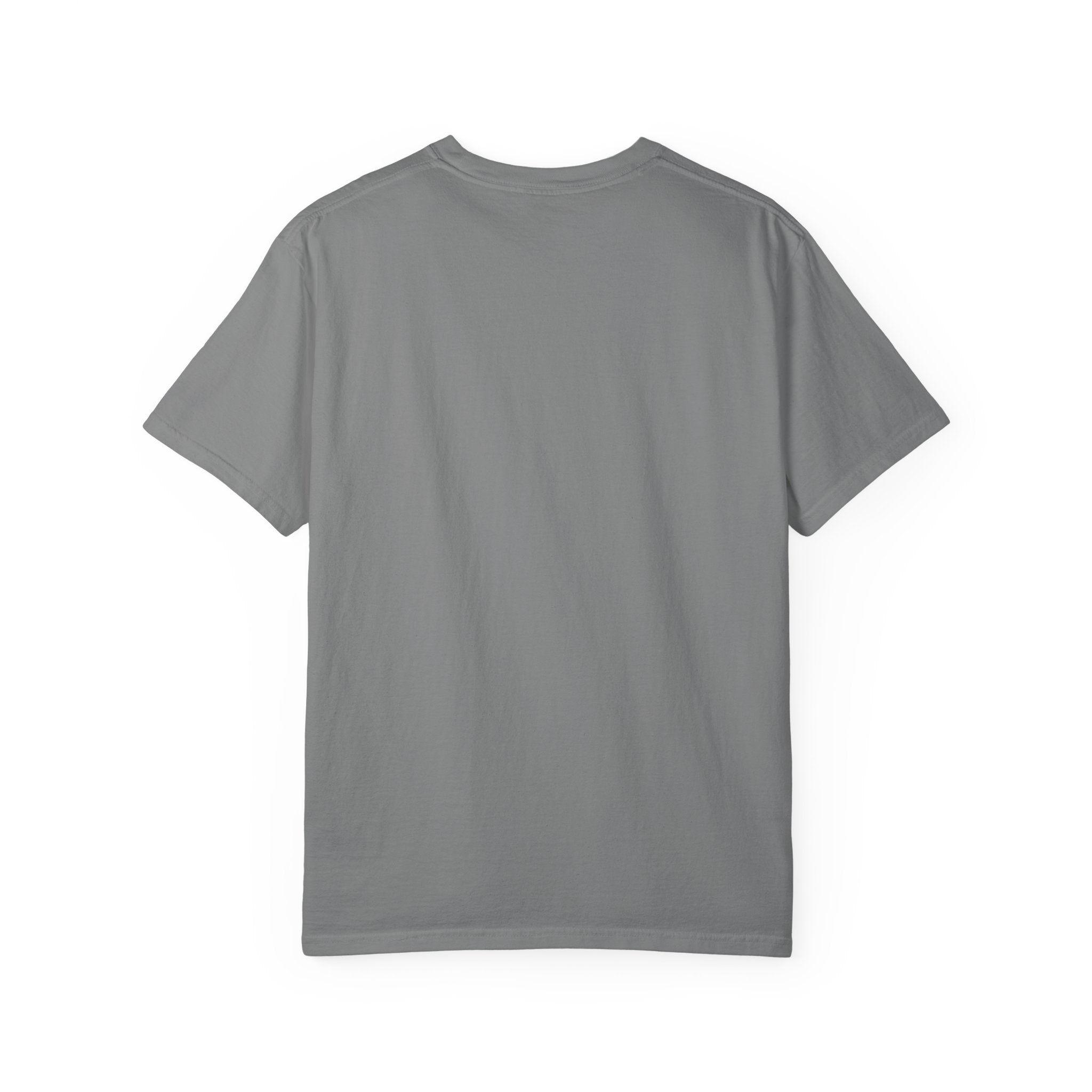 Being Delulu Is Okay Cat T-Shirt