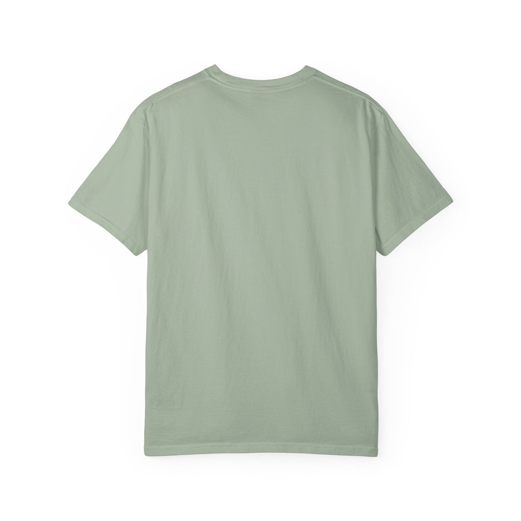 Being Delulu Is Okay Cat T-Shirt