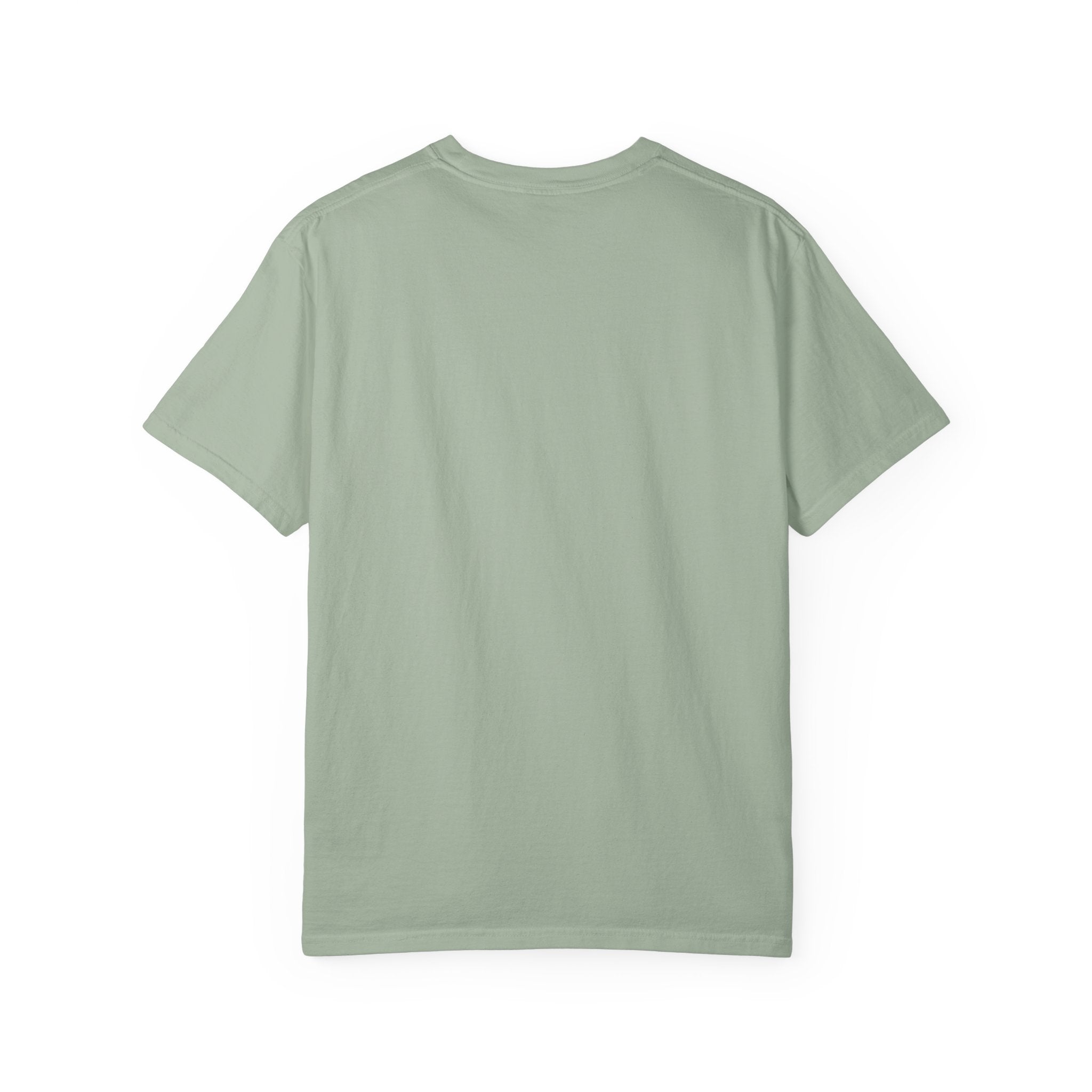Being Delulu Is Okay Cat T-Shirt