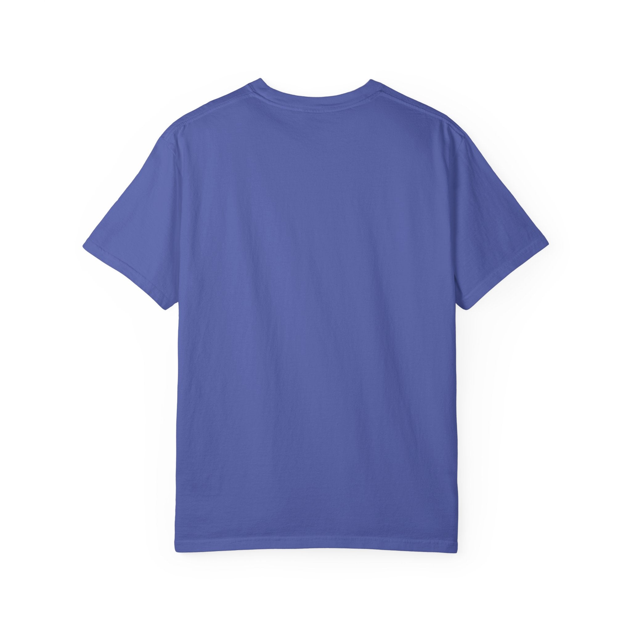 Being Delulu Is Okay Cat T-Shirt