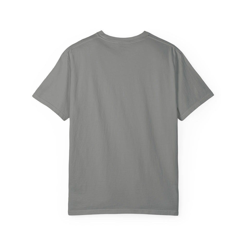 Being Delulu Is Okay Cat T-Shirt