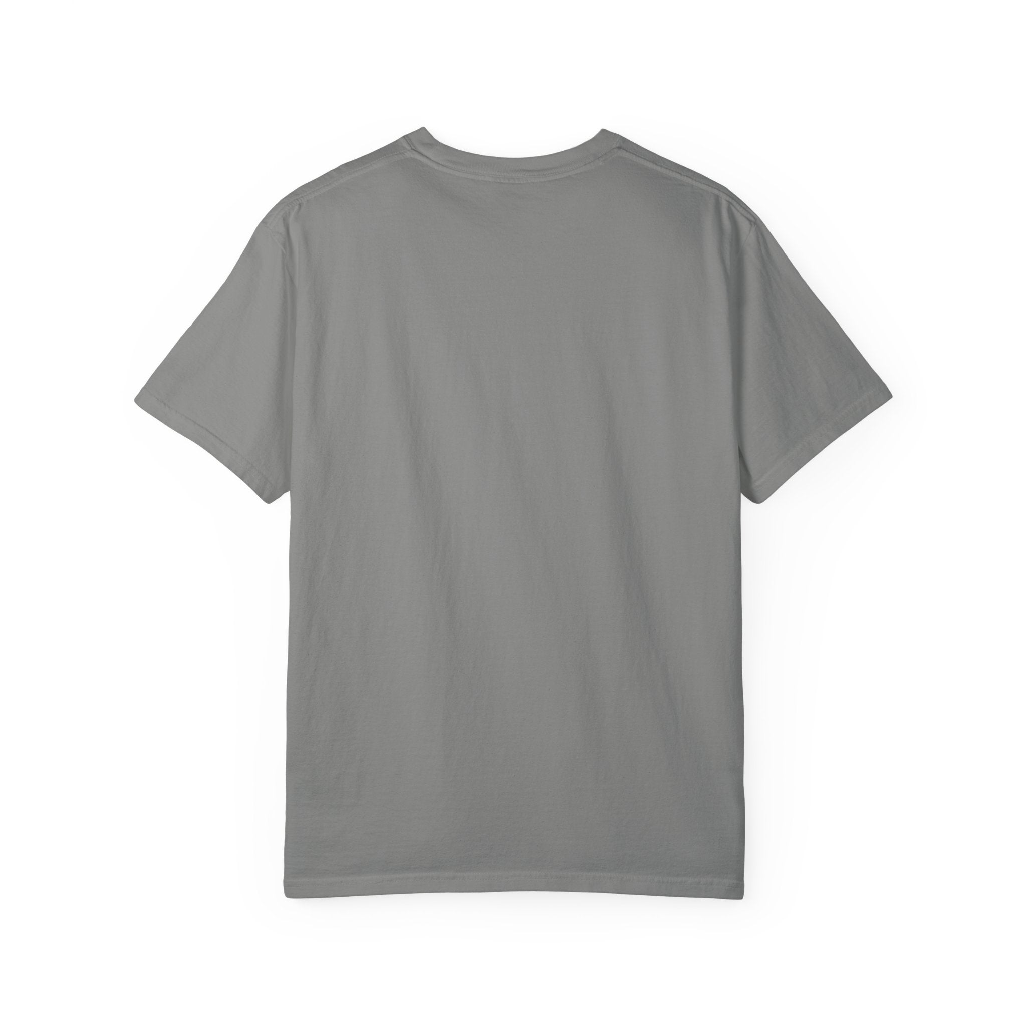 Being Delulu Is Okay Cat T-Shirt