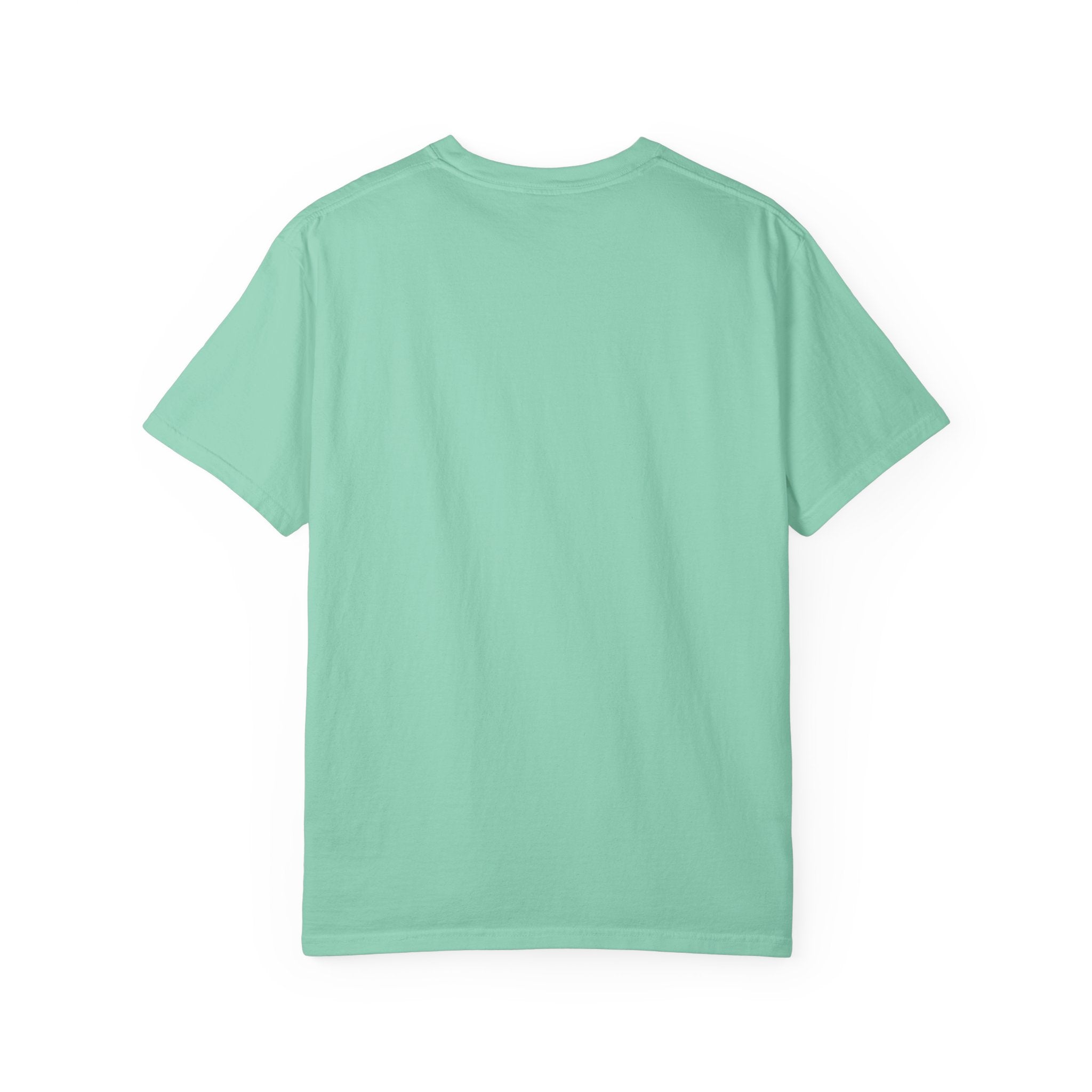 Being Delulu Is Okay Cat T-Shirt