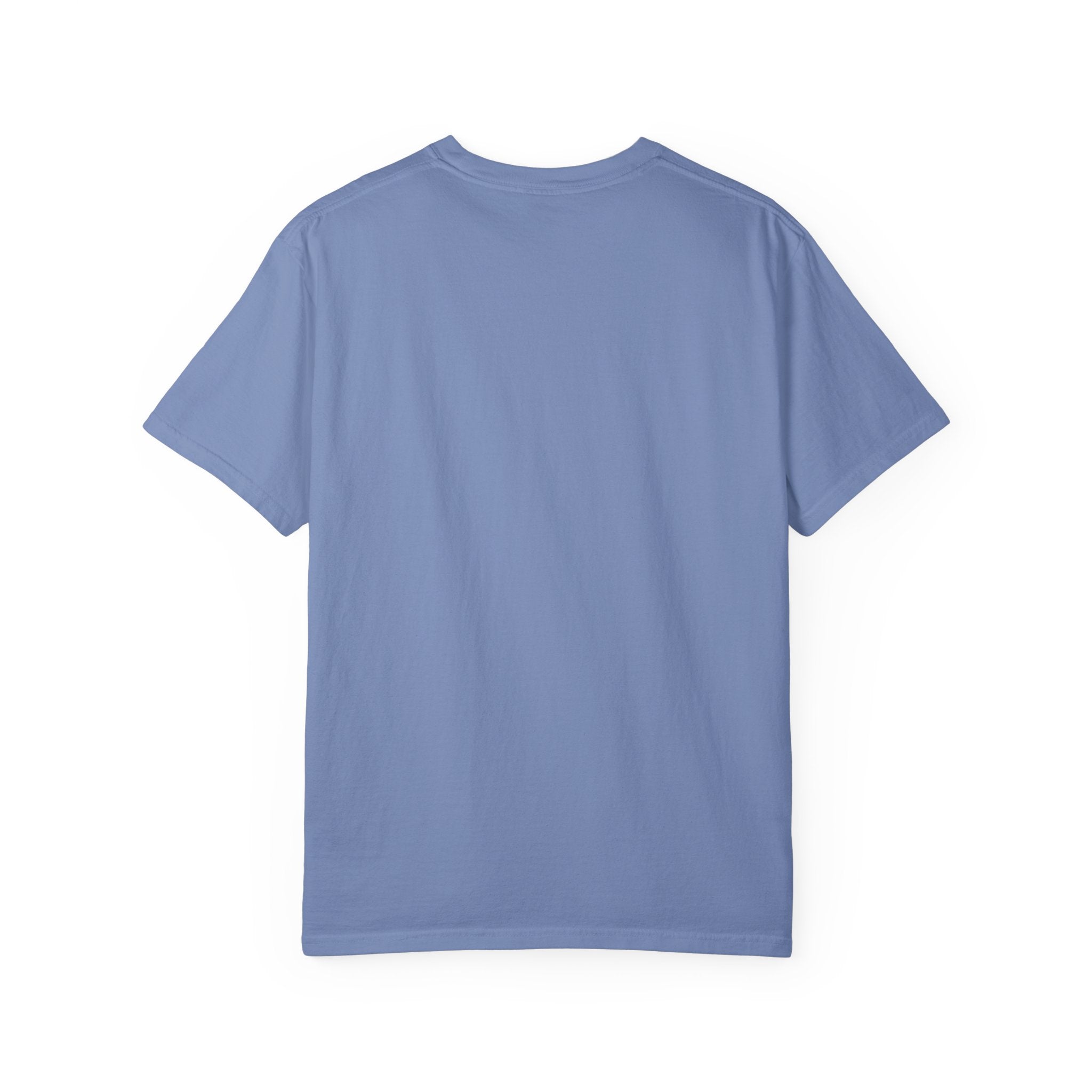 Being Delulu Is Okay Cat T-Shirt