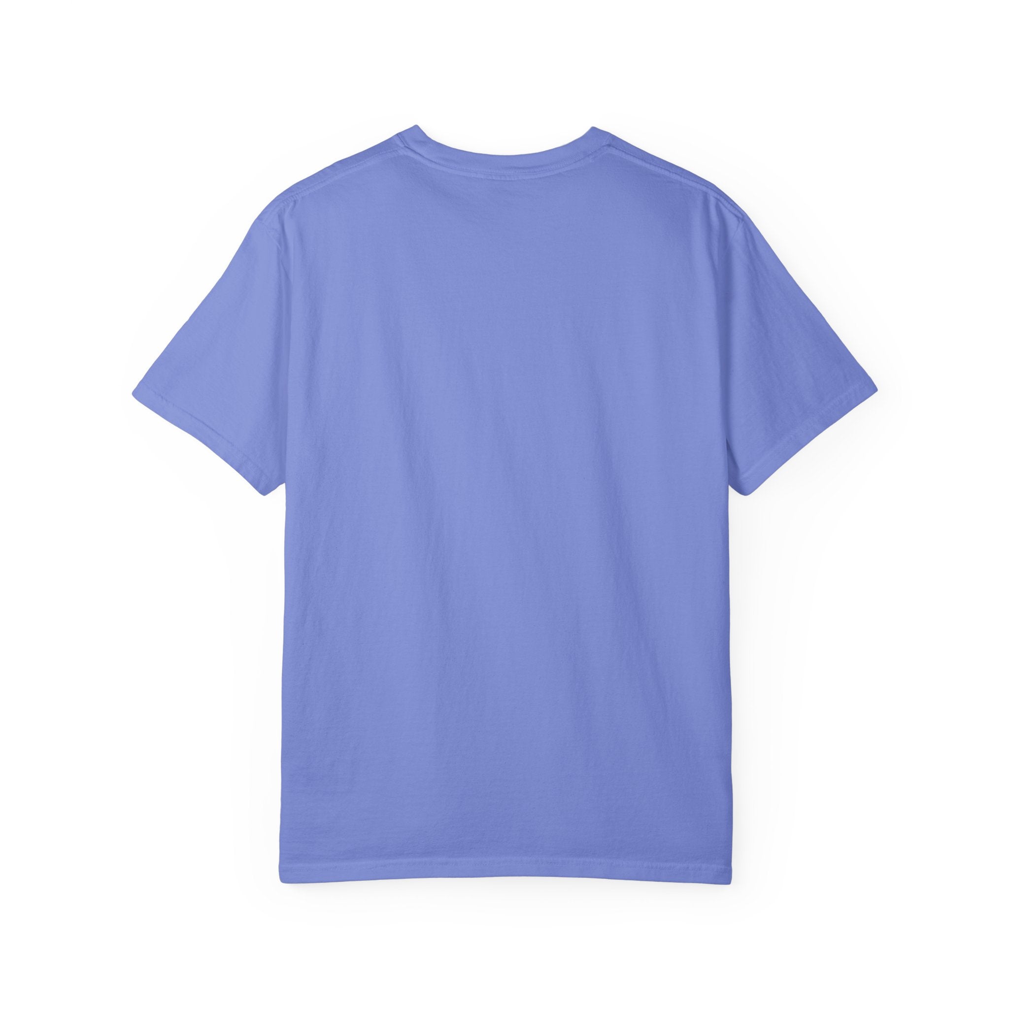 Being Delulu Is Okay Cat T-Shirt