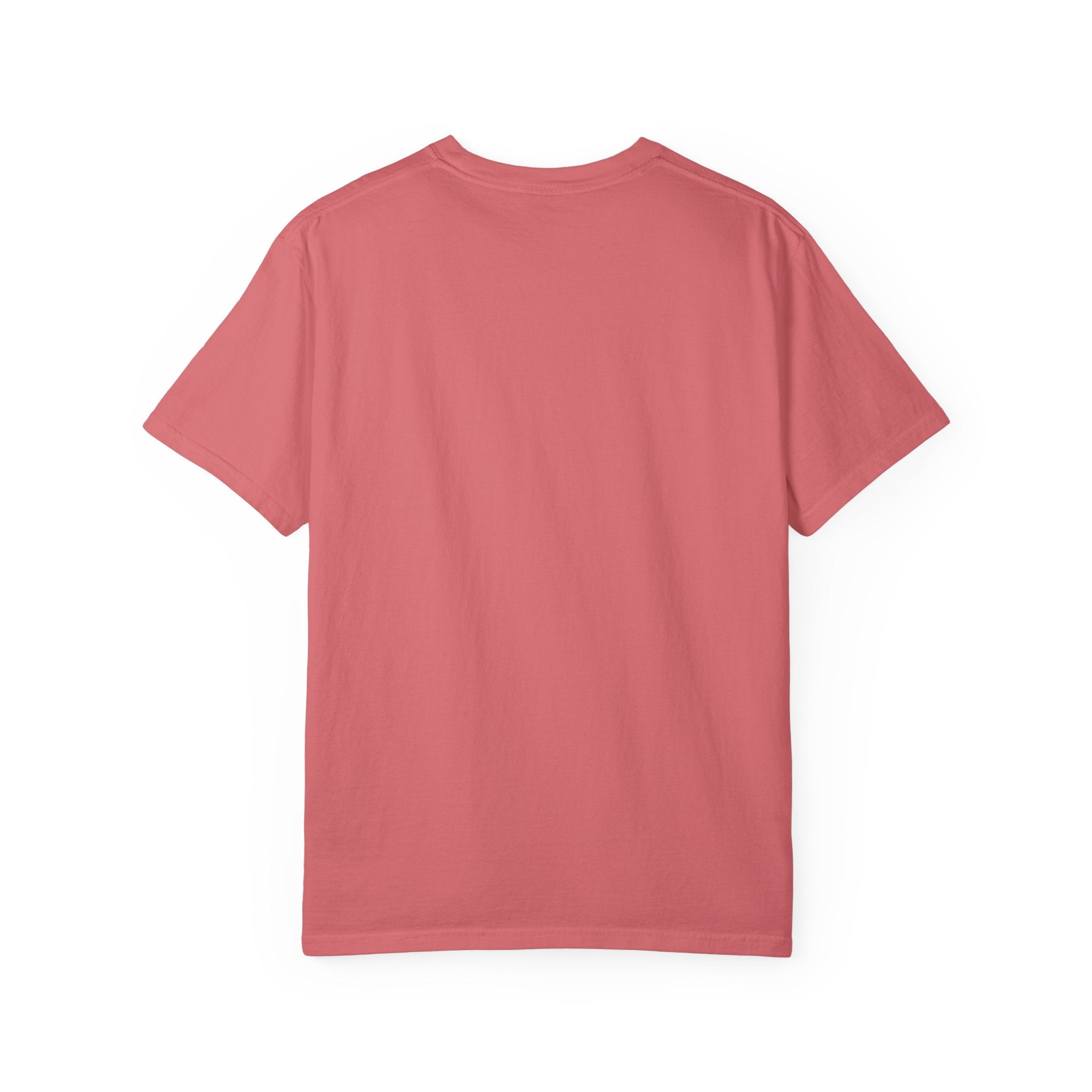 Being Delulu Is Okay Cat T-Shirt