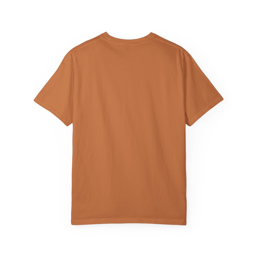 Being Delulu Is Okay Cat T-Shirt