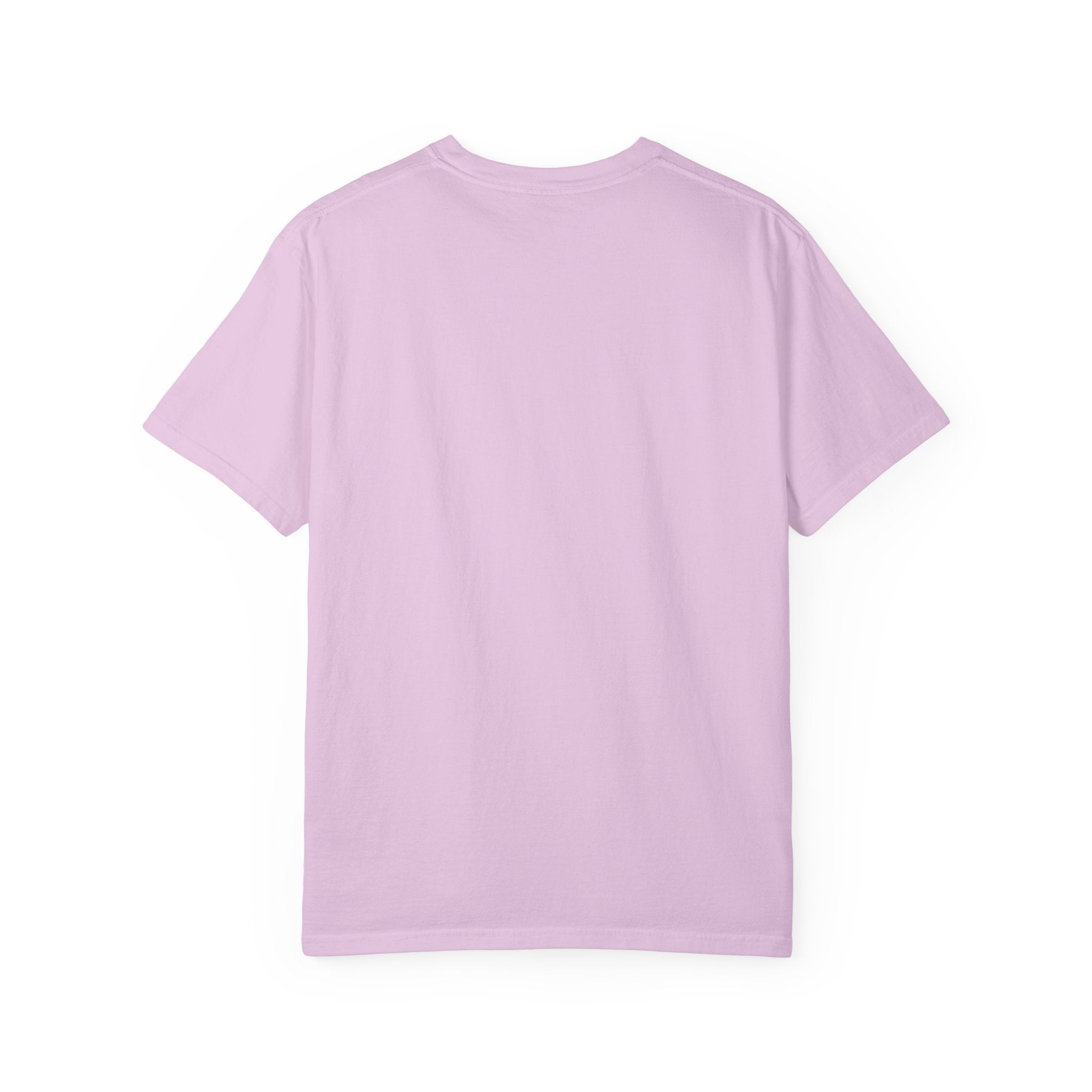 Being Delulu Is Okay Cat T-Shirt